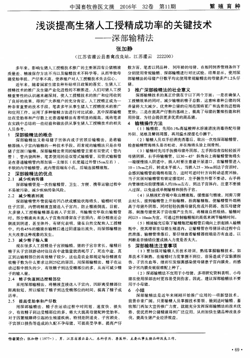 浅谈提高生猪人工授精成功率的关键技术——深部输精法