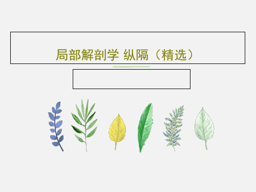 局部解剖学 纵隔(精选)共40页PPT