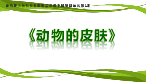 青岛版小学科学三年级上册《动物的皮肤》说课课件