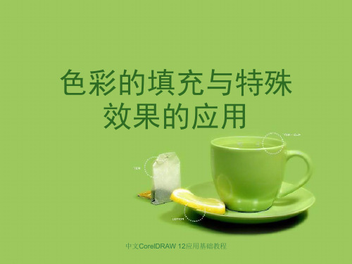 色彩的填充与特殊效果的应用优秀课件