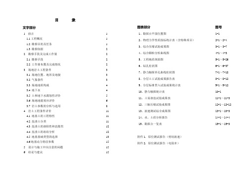 4-金属镁一体化项目装置区勘察报告12(审)