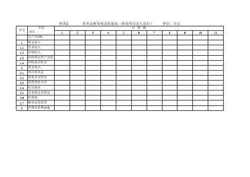 2资本金财务现金流量表