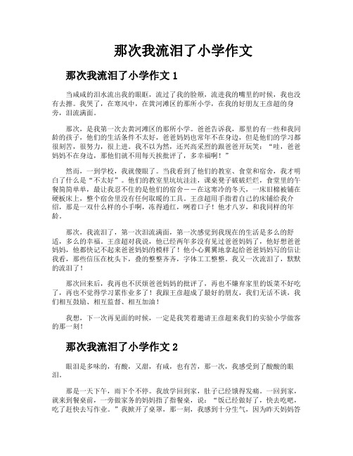 那次我流泪了小学作文