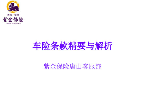 保险条款精要解析.ppt