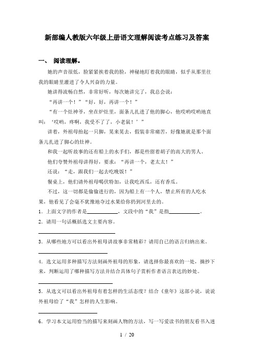 新部编人教版六年级上册语文理解阅读考点练习及答案