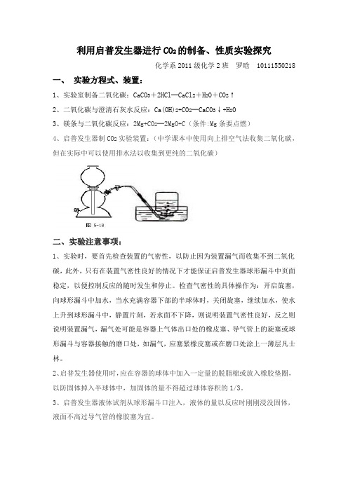 化学教学论实验报告——利用启普发生器进行CO2的制备