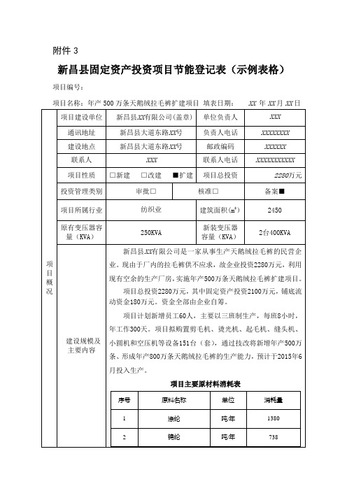 固定资产投资项目节能登记表-示例表格