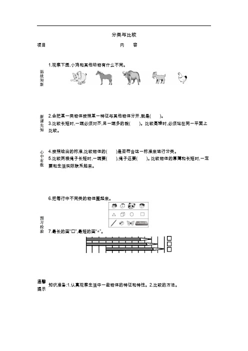 青岛五年制一年级数学上册导学案-分类与比较