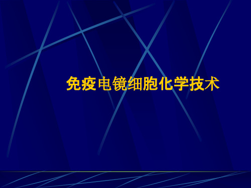 4.免疫电镜细胞化学技术