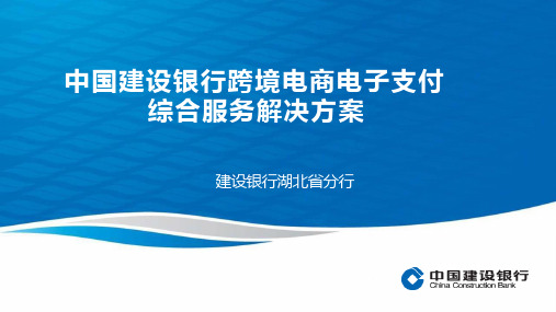 中国建设银行跨境电商电子支付综合服务解决方案