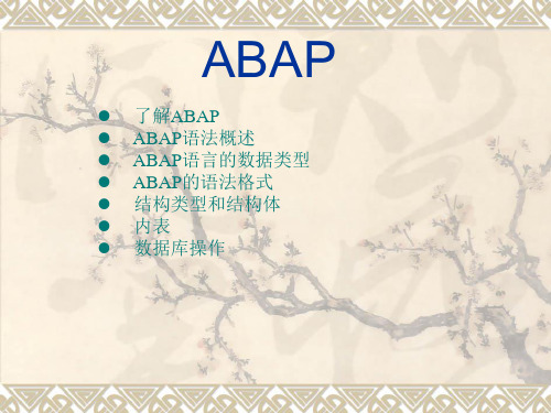 ABAP语法概述解析