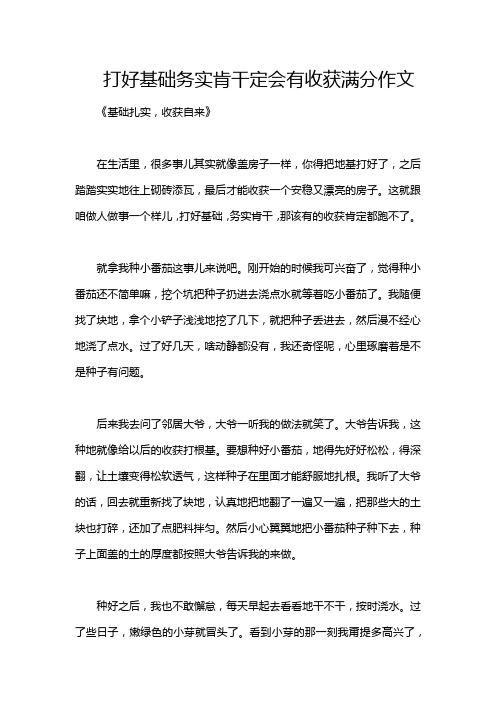 打好基础务实肯干定会有收获满分作文