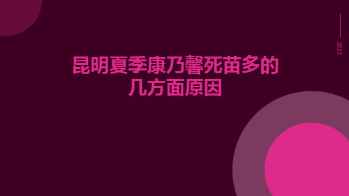 昆明夏季康乃馨死苗多的几方面原因