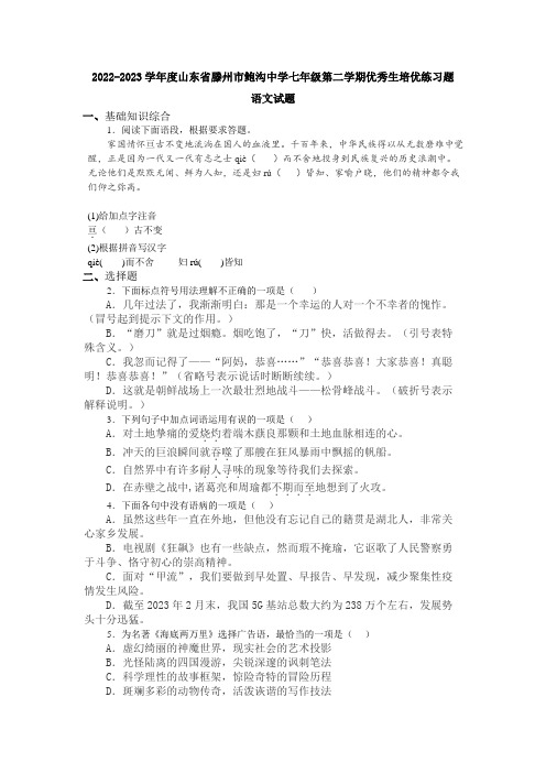 培优练习题+++山东省滕州市鲍沟镇鲍沟中学2022-2023学年部编版语文七年级下册