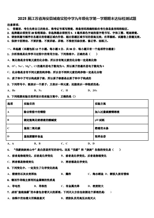 2025届江苏省海安县城南实验中学九年级化学第一学期期末达标检测试题含解析