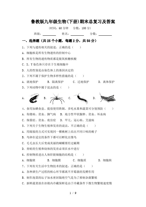 鲁教版九年级生物(下册)期末总复习及答案