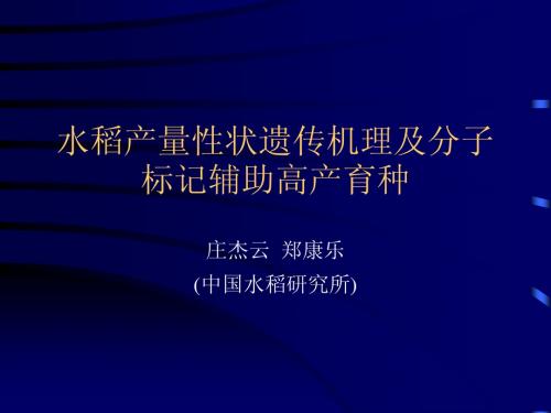 水稻产量性状遗传机理及分子标记辅助高产育种