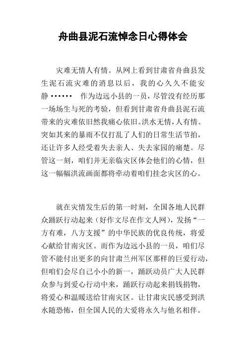 舟曲县泥石流悼念日心得体会