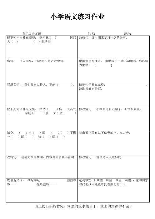 小学五年级语文课堂练习II (69)