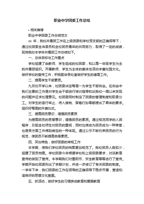 职业中学团委工作总结