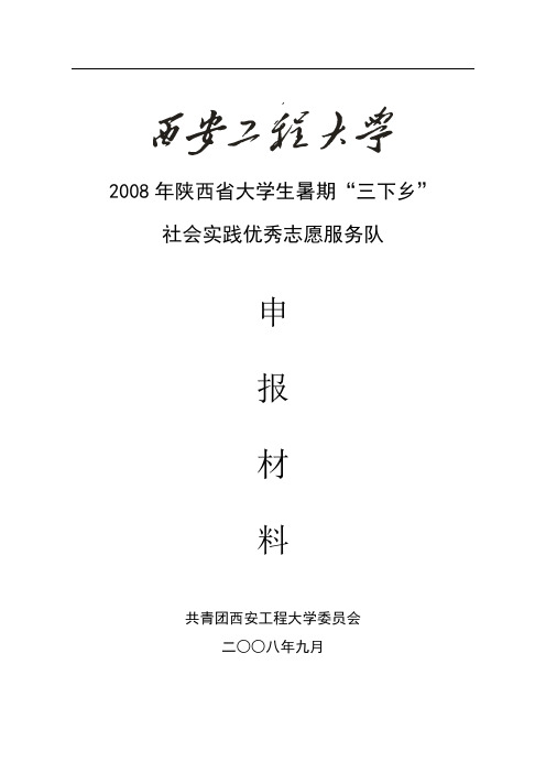 优秀实践团队总结材料样本(08年山阳、镇安)