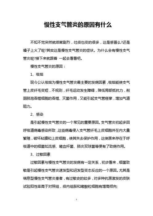 慢性支气管炎的原因有什么