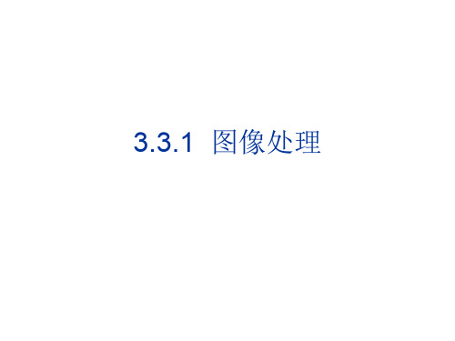 浙教版 信息技术 必修1  3.3.1图像处理 (共19张ppt)