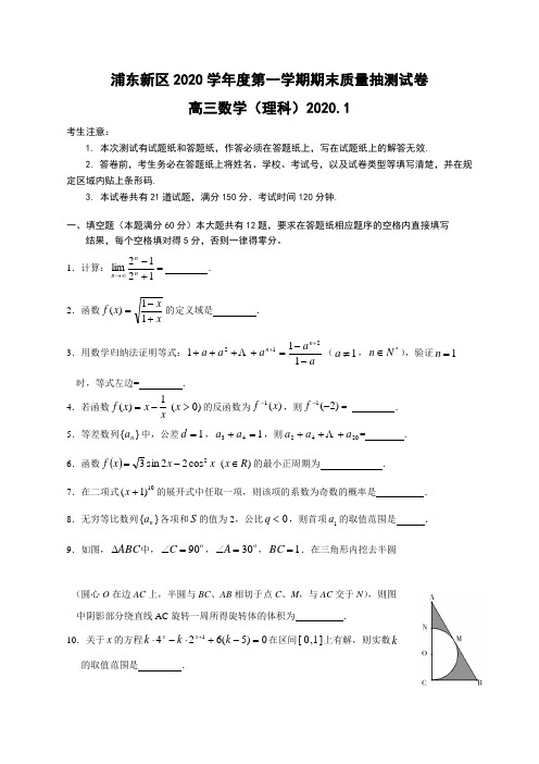 上海市浦东新区2020学年度第一学期期末质量抽测试卷高三数学理科