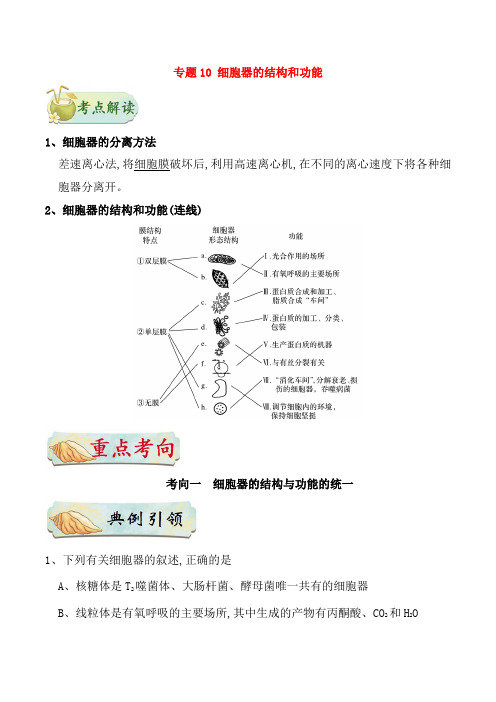 备战2019年高考生物训练题: 考点一遍过 专题10 细胞器的结构和功能
