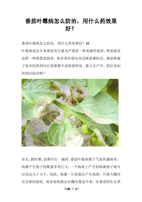 番茄叶霉病怎么防治,用什么药效果好？