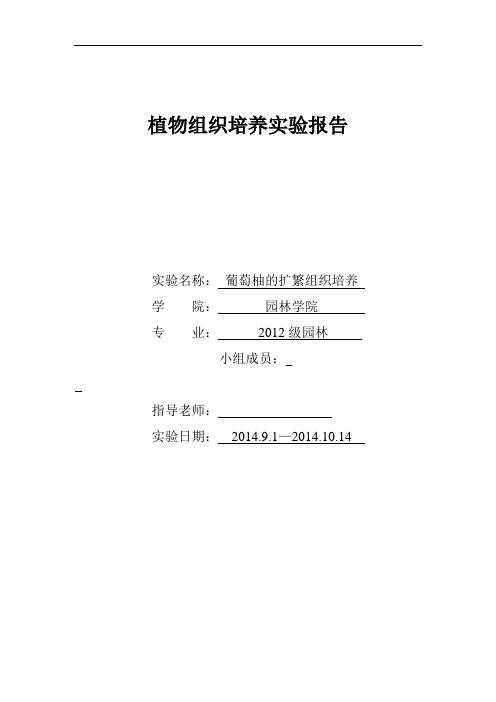 植物组培实验报告