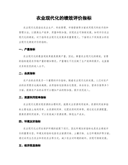 农业现代化的绩效评价指标