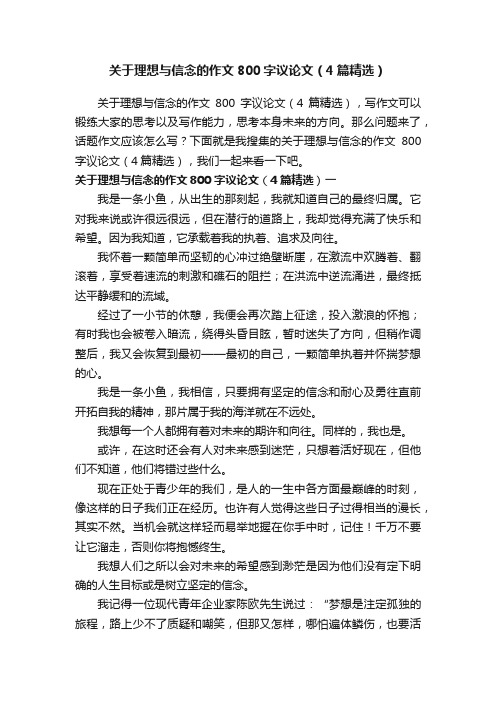 关于理想与信念的作文800字议论文（4篇精选）