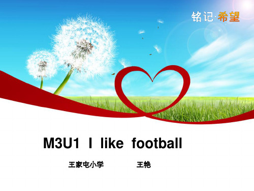 M3U1     I  like  football