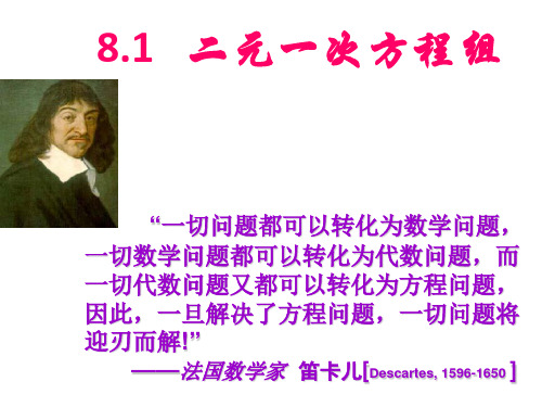 人教版七年级下册8.1二元一次方程组概念课件(共29张PPT)