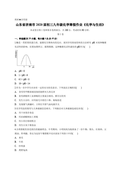 山东省济南市2020届初三九年级化学寒假作业《化学与生活》含答案