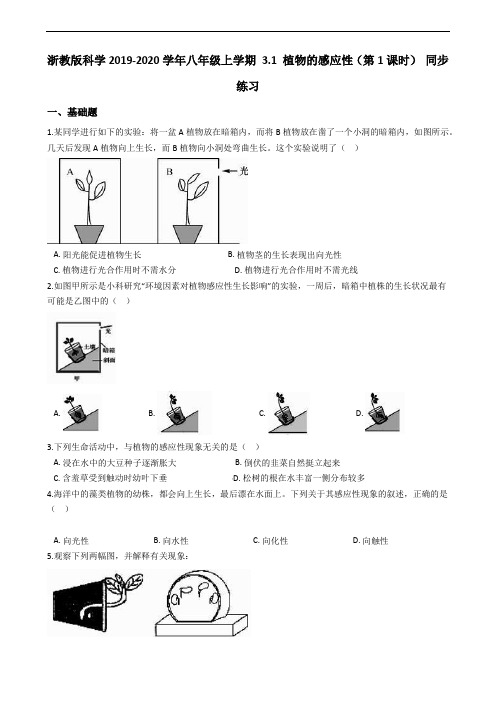 浙教版科学2019-2020学年八年级上学期 3.1 植物的感应性(第1课时) 同步练习(含答案)