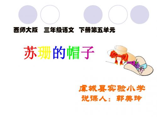 西师大版小学三下《苏珊的帽子》ppt课件