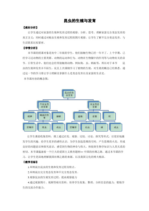 苏教版-生物-八年级下册-八下8.21.3 昆虫的生殖与发育 优教教案