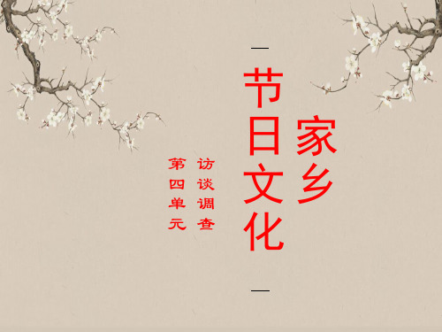 家乡节日文化 访谈调查