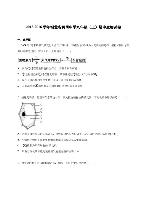 湖北省黄冈中学2016届九年级(上)期中生物试卷(解析版)