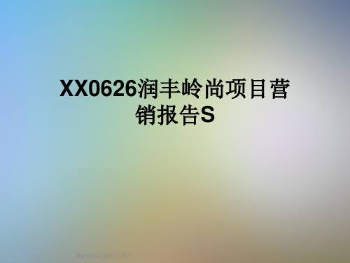 XX0626润丰岭尚项目营销报告S