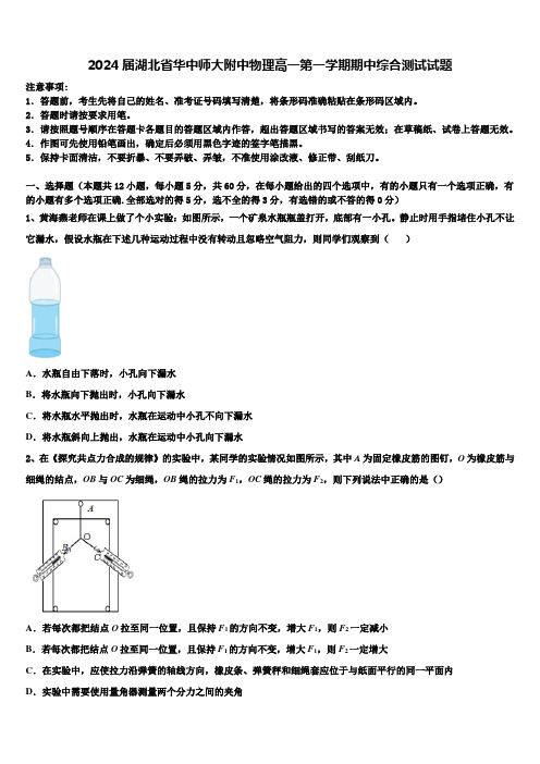 2024届湖北省华中师大附中物理高一第一学期期中综合测试试题含解析