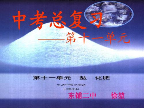 河南省2014年中招化学第一轮第十一单元复习