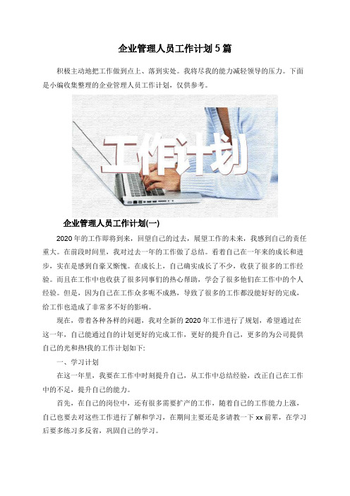 企业管理人员工作计划5篇