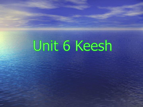 人教版高中英语选修小说欣赏入门课件 Unit 6 Keesh 课件