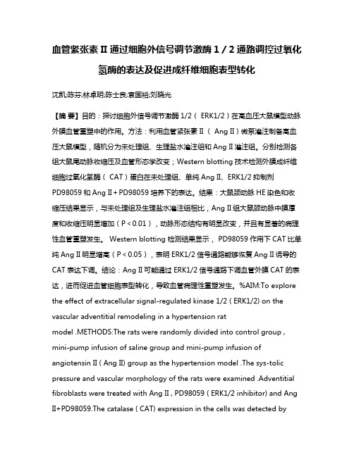 血管紧张素 II 通过细胞外信号调节激酶1／2通路调控过氧化氢酶的表达及促进成纤维细胞表型转化