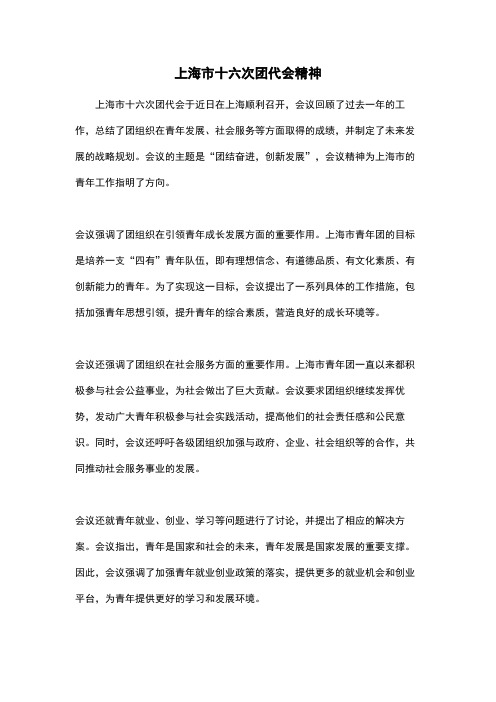 上海市十六次团代会精神