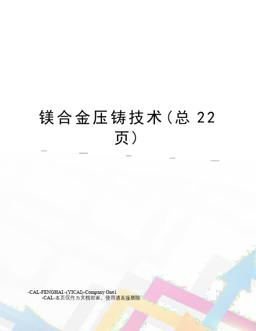 镁合金压铸技术(总22页)