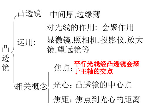 照相机、投影仪、放大镜的成像原理